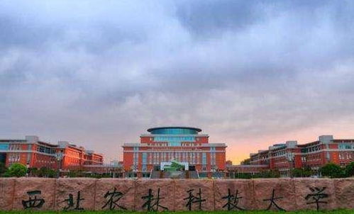 广东岭南算什么档次的大专（广东岭南学院在哪里）