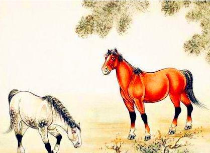 2002年是苦命马还是富马：2002年生肖马是苦命还是富命？从命理到现实的综合解读