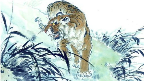 98年属什么:98年出生属虎?这份详细指南助你了解生肖与运势 98年属什么:98年出生属虎?这份详细指南助你了解生肖与运势