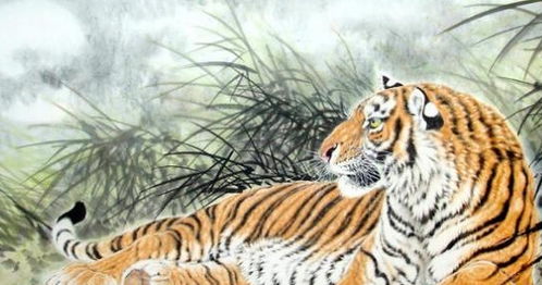 98年属什么:98年出生属虎?这份详细指南助你了解生肖与运势 98年属什么:98年出生属虎?这份详细指南助你了解生肖与运势