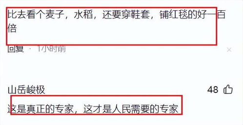 天天做梦是怎么回事：天天做梦是怎么回事？科学解析多梦背后的7大诱因与应对策略