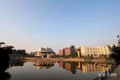 广东岭南现代技师学院（广东岭南现代技师学院电话）