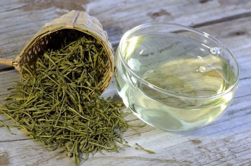 金银花泡水喝的功效与禁忌:全面解析,金银花泡水喝的功效与禁忌