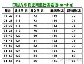 属狗的今年多大了岁数表:属狗2023年龄对照表,从新生儿到银发族的生肖全解析 属狗的今年多大了岁数表:属狗2023年龄对照表,从新生儿到银发族的生肖全解析