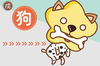 87年属什么生肖：87年出生属龙，性格特质与人生运势全解析