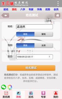 免费八字姓名测试打分:免费八字姓名测试打分,科学解析姓名能量,解锁个人运势密码
