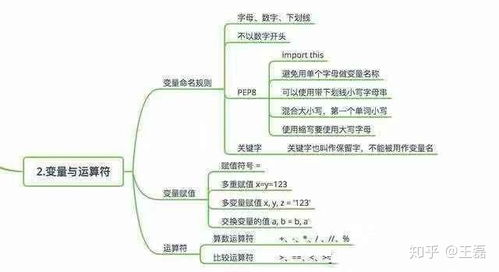 python代写平台:Python代写平台,一站式解决你的编程需求与学习困惑