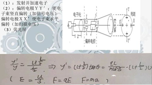 测算五行:测算五行,解码传统智慧在现代生活中的科学应用
