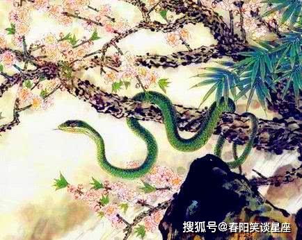 男蛇女蛇生肖配对姻缘：相濡以沫，还是相煎太急？男蛇女蛇生肖配对姻缘深度解析