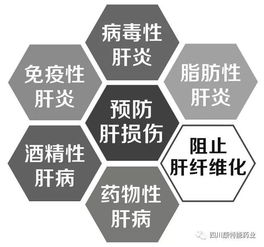 独家医保产品招商:独家医保产品招商,抢占千亿市场,共赢未来!
