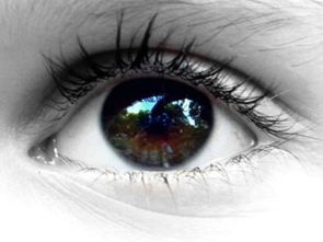 男人左眼跳是什么预兆:男人左眼跳是吉兆还是凶兆?民间说法与科学视角的双重解读 男人左眼跳是什么预兆:男人左眼跳是吉兆还是凶兆?民间说法与科学视角的双重解读