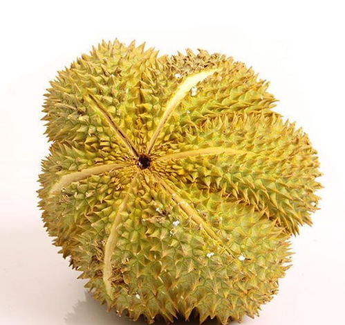 吃榴莲对妇科病有什么好处：榴莲不只是臭，这些妇科健康秘密你知道吗？