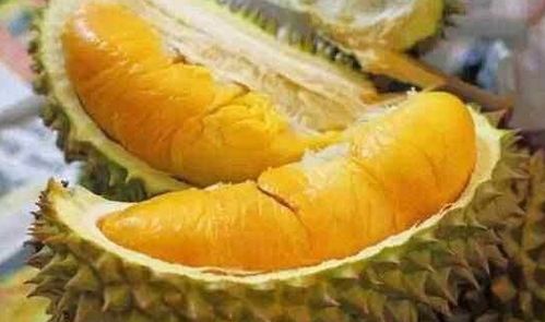 吃榴莲对妇科病有什么好处：榴莲不只是臭，这些妇科健康秘密你知道吗？