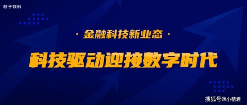 金财互联:金财互联,数字时代财政管理的创新引擎