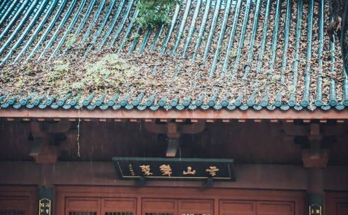 城隍庙 求姻缘灵不灵:城隍庙求姻缘灵不灵?民间信仰与现实婚姻的奇妙连接 城隍庙 求姻缘灵不灵:城隍庙求姻缘灵不灵?民间信仰与现实婚姻的奇妙连接