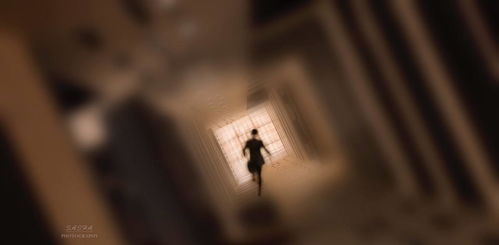 梦见蛇缠身：蛇缠身梦境，潜意识的警示与心灵觉醒之路