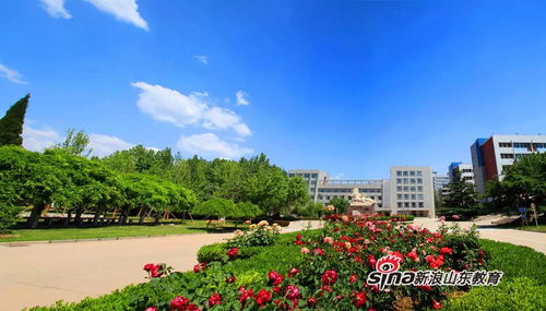山东经贸职业学院官网(d317山东经贸职业学院) 山东经贸职业学院官网(d317山东经贸职业学院)