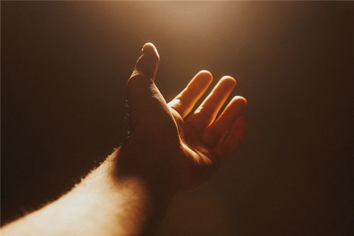 梦见屎弄到自己身上:梦中尴尬瞬间,解析梦见屎弄到自己身上的潜意识密码 梦见屎弄到自己身上:梦中尴尬瞬间,解析梦见屎弄到自己身上的潜意识密码