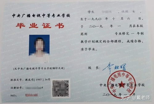 中专（中专学历怎么查学历证明）