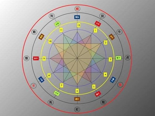 1997属牛的上等婚配:1997属牛人的上等婚配指南,生肖相合与幸福密码 1997属牛的上等婚配:1997属牛人的上等婚配指南,生肖相合与幸福密码