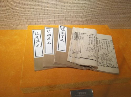 鼠的第一贵人是谁：鼠的第一贵人，从诗经到本草纲目，谁在历史长河中点亮鼠族的光明？