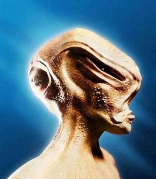 梦见人类:梦境中的镜像,人类形象在梦境中的多重隐喻与自我对话 梦见人类:梦境中的镜像,人类形象在梦境中的多重隐喻与自我对话