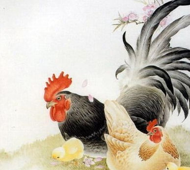 属鸡几月的是凤凰命:属鸡几月生是凤凰命?解析十二生肖鸡的祥瑞时辰与天命密码 属鸡几月的是凤凰命:属鸡几月生是凤凰命?解析十二生肖鸡的祥瑞时辰与天命密码