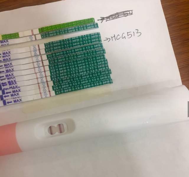 抽血没怀孕：抽血没怀孕，准确认识验孕结果与身体信号