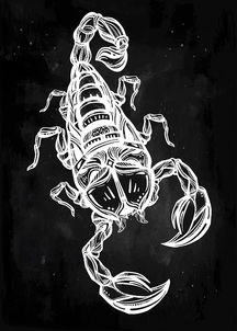 天蝎座和巨蟹座配对:水象星海的双生火焰,天蝎座与巨蟹座的灵魂共鸣与成长之路 天蝎座和巨蟹座配对:水象星海的双生火焰,天蝎座与巨蟹座的灵魂共鸣与成长之路