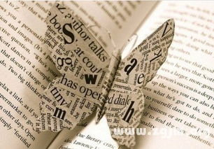 占卜抽签摇卦：千年智慧的现代回响，占卜、抽签与摇卦的文化密码与当代启示