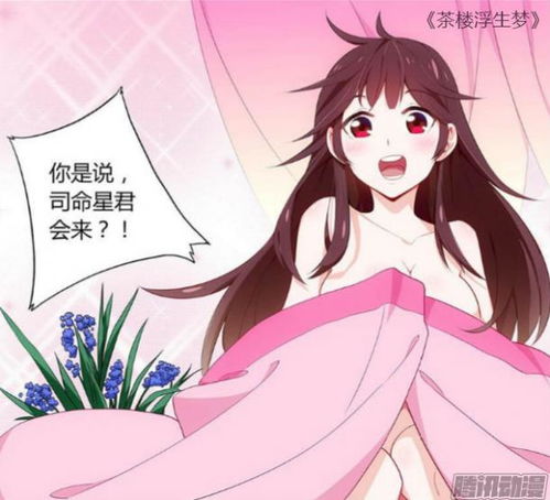 网络姻缘全章免费漫画：网络姻缘，全章免费漫画，一场虚拟与现实交织的浪漫冒险！