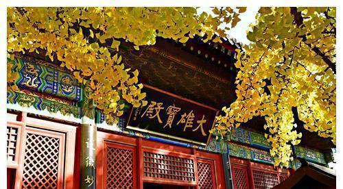 广州有哪些求姻缘的寺庙:广州求姻缘寺庙盘点,这些古刹供奉神仙助你旺婚转运