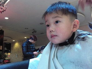 做梦梦见剪头发了是什么意思：解密梦境，梦见剪头发的玄学与现实关联