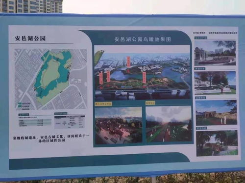 大专正式工招聘（大专正式工招聘温江区）