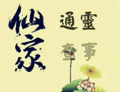 出马仙看感情姻缘准吗：出马仙看感情姻缘准吗？民间信仰与现实的平衡之道