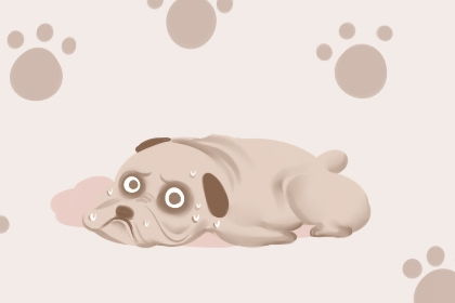 梦见被狗追着咬是什么预兆女性:女性梦见被狗追着咬,解析潜意识的警示信号 梦见被狗追着咬是什么预兆女性:女性梦见被狗追着咬,解析潜意识的警示信号