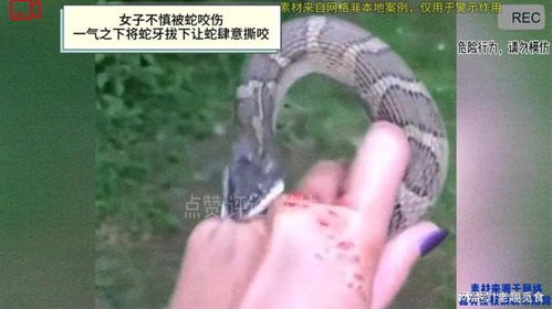 已婚女人梦见蛇咬自己的手:梦中惊醒,已婚女性梦见蛇咬手背后的隐喻