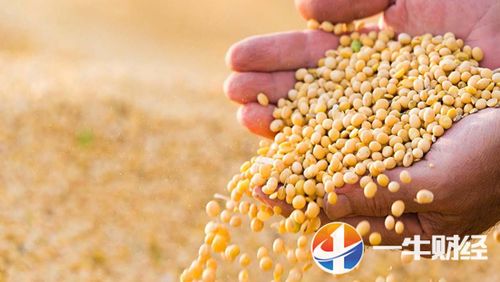 高考招生网官网入口(上海高考招生网官网入口)