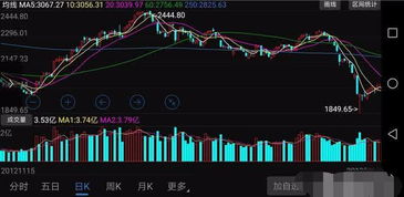 视频|这波牛市能持续多久?林园:不排除出现几十年的牛市 中国的强大以后也会吸引全球投资者
