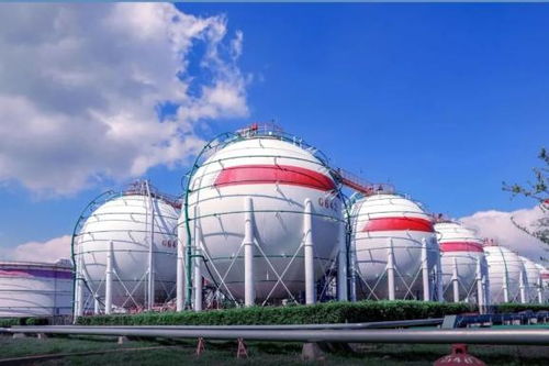 2021年有姻缘的命运：2021年有姻缘的命运，揭秘你的爱情走向