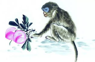 2023属猴要小心一个人：2023年属猴者需警惕的三大隐患，小心背锅者与夺财人的布局