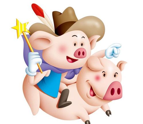 龙和猪是好姻缘吗:龙年与猪年,传统命理中的姻缘密码