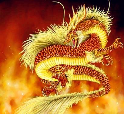 龙和猪是好姻缘吗：龙年与猪年，传统命理中的姻缘密码