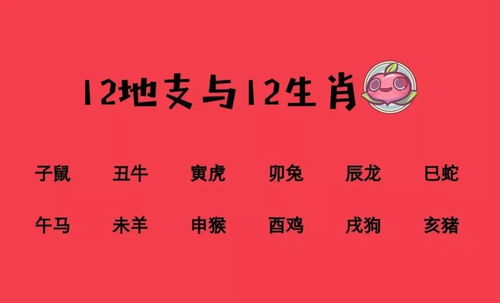 十二生肖姻缘桃花方位表：1.十二生肖姻缘桃花方位表，你的命理桃花在哪里？