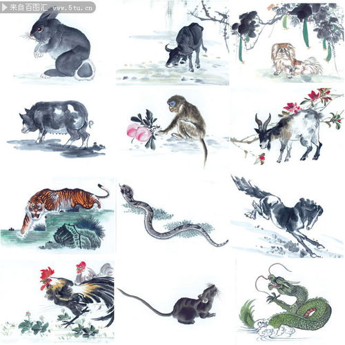 12生肖图案大全图片：十二生肖图案大全图片，从传统纹样到现代设计的文化传承