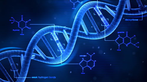 心理测试图片：心理测试图片，视觉化测评的双刃剑效应与科学使用指南