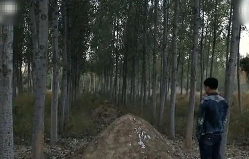 女人梦见好多土坟堆：梦中的土坟堆，一个女人的潜意识密码