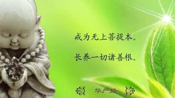 想找个好姻缘念什么佛：姻缘与佛号，修行路上的智慧指引