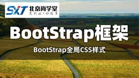 bootstrap网站实例：Bootstrap网站实例，从入门到实战