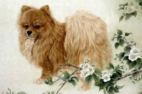 1982年属狗2020年运势:1982年属狗人2020年运势解析,吉凶参半,稳中求进有妙招 1982年属狗2020年运势:1982年属狗人2020年运势解析,吉凶参半,稳中求进有妙招